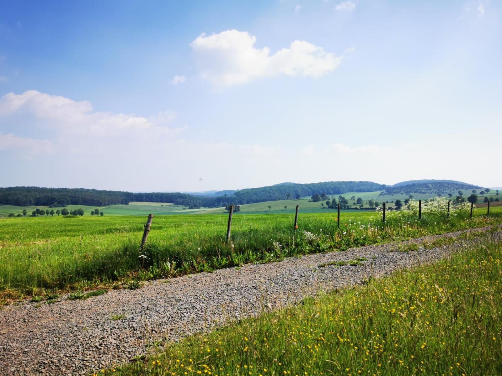 Deine-Eifel-Ferienwohnung Feusdorf 외부 사진