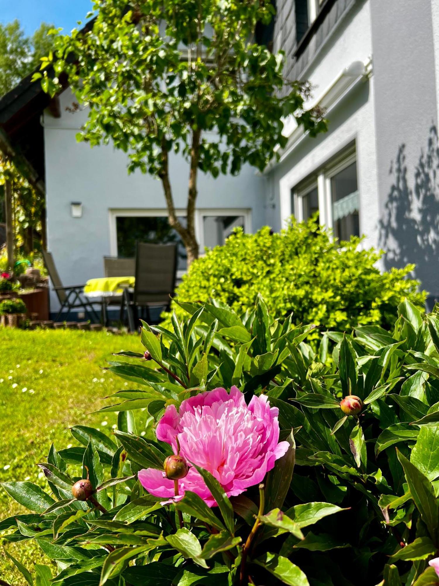 Deine-Eifel-Ferienwohnung Feusdorf 외부 사진