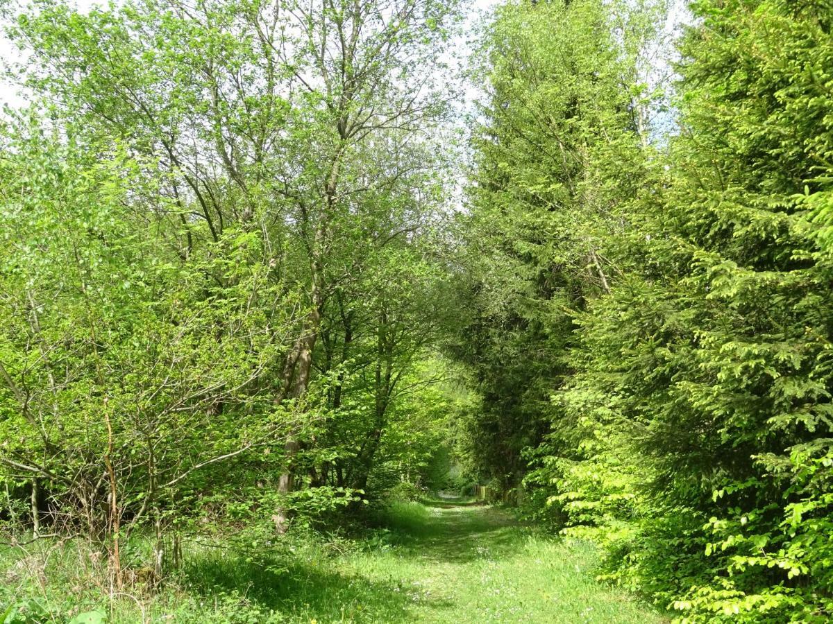 Deine-Eifel-Ferienwohnung Feusdorf 외부 사진